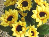 Blüte mehrfarbig zum Hängen 6,5 cm